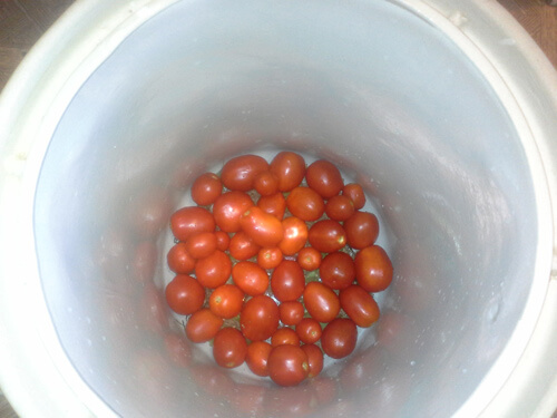 pomidory v bochke 4