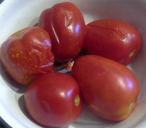 solenye pomidory 1