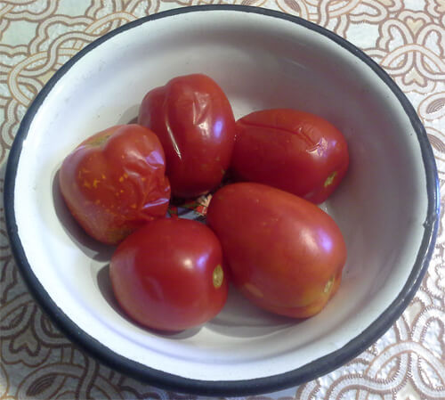 solenye pomidory 10