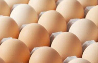 Холестерин в яйцах
